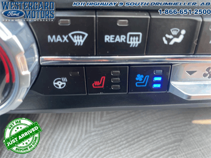 2023 Ford F-350 Super Duty PLATINUM TREMOR - Image 28