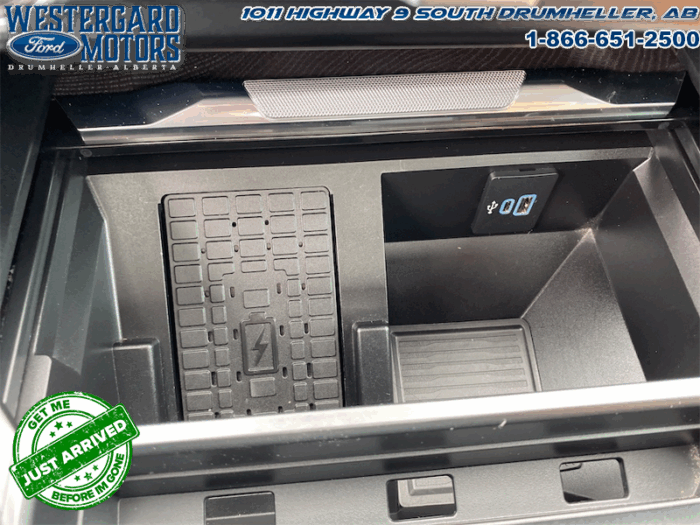 2023 Ford F-350 Super Duty PLATINUM TREMOR - Image 29