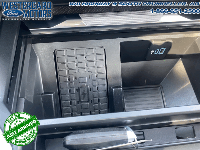 2023 Ford F-350 Super Duty PLATINUM TREMOR - Image 29
