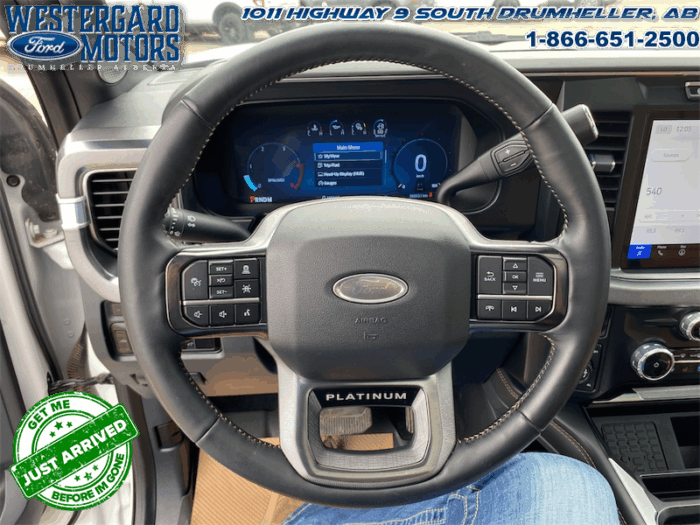 2023 Ford F-350 Super Duty PLATINUM TREMOR - Image 30
