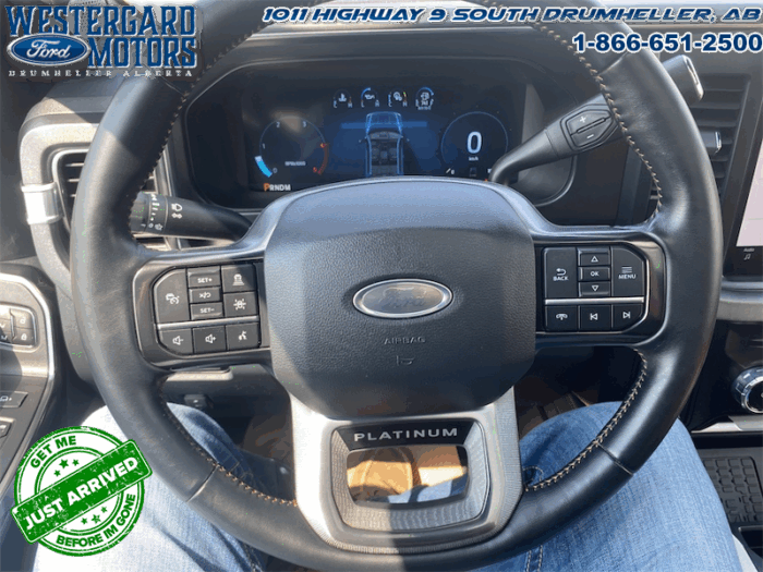 2023 Ford F-350 Super Duty PLATINUM TREMOR - Image 30