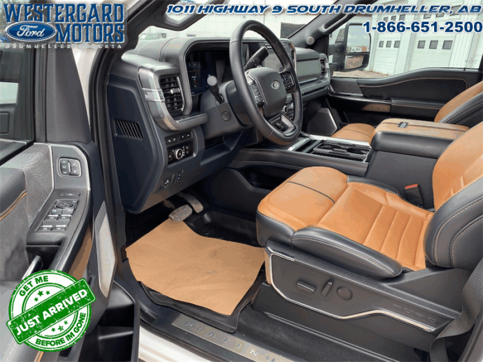 2023 Ford F-350 Super Duty PLATINUM TREMOR - Image 9