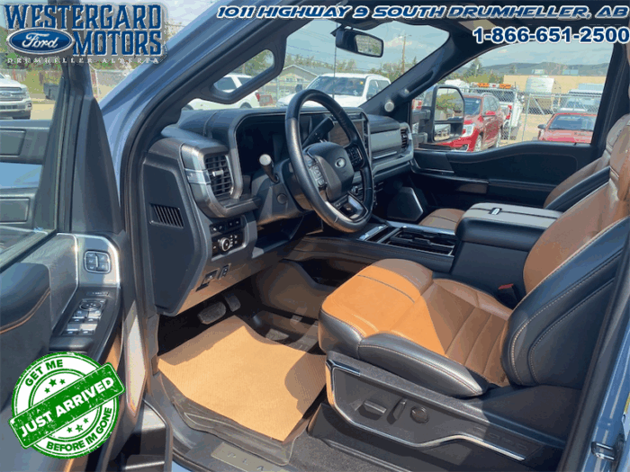 2023 Ford F-350 Super Duty PLATINUM TREMOR - Image 9