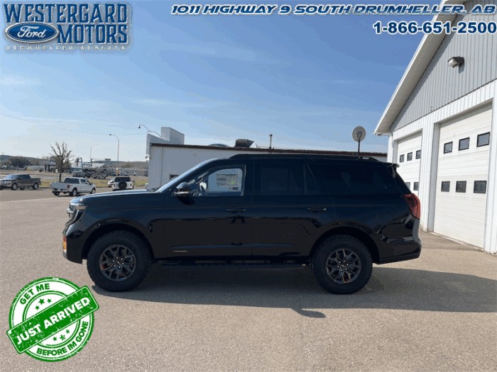 2025 Ford Expedition Tremor - Image 5