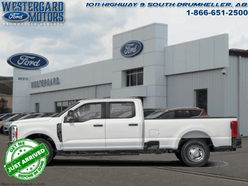 Used Crew Cab 2025 Ford F-250 Super Duty W2B Oxford White