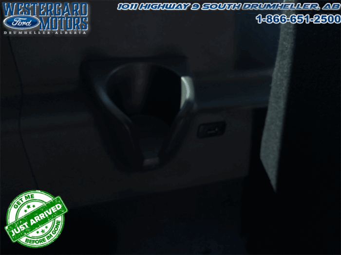 2024 Ford Transit Passenger Wagon XLT - Image 18