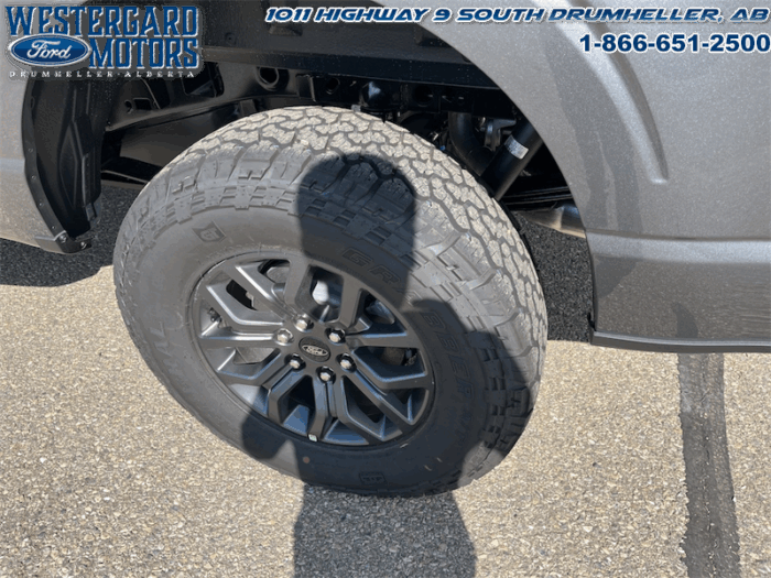 2025 Ford F-150 Tremor  5.0L V8 - Image 9