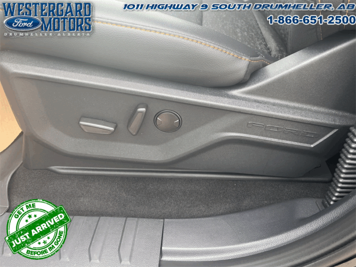 2025 Ford F-150 Tremor  5.0L V8 - Image 10