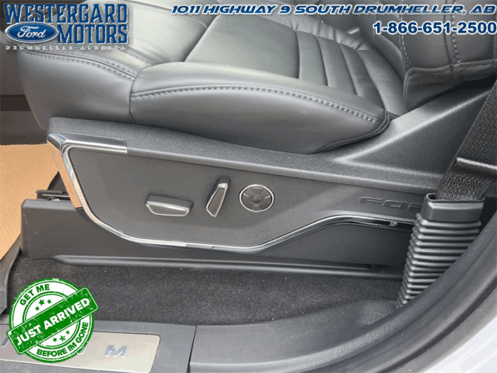2025 Ford F-150 Platinum - Image 10
