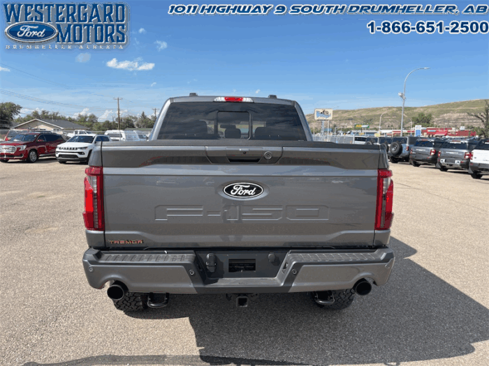 2025 Ford F-150 Tremor  5.0L V8 - Image 10