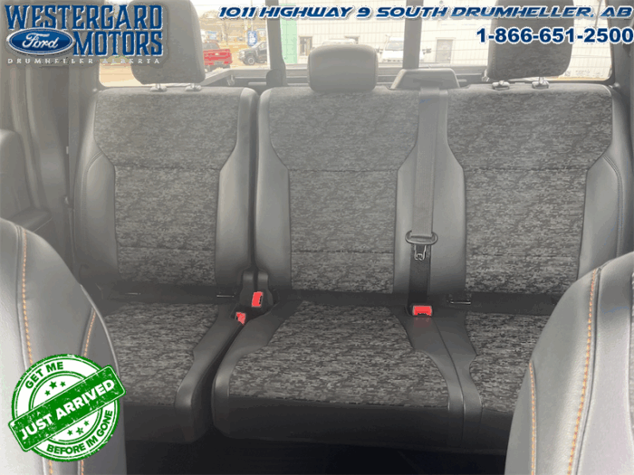 2025 Ford F-150 Tremor  5.0L V8 - Image 11