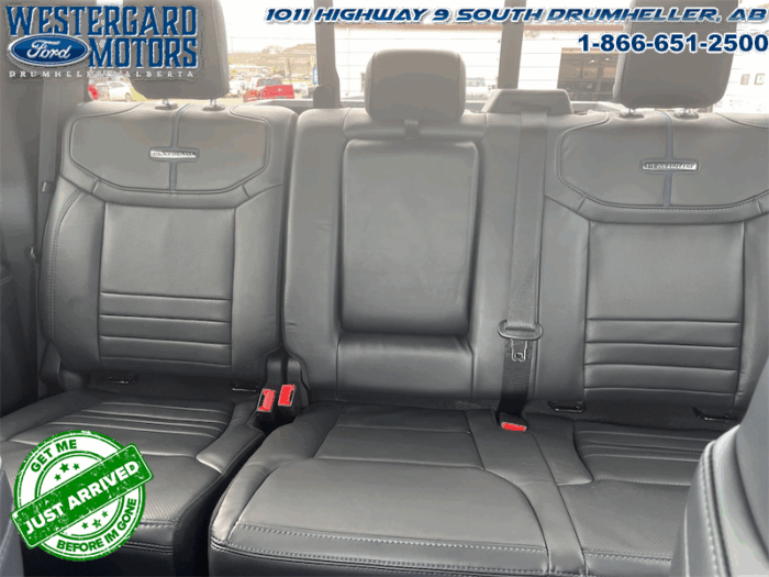 2025 Ford F-150 Platinum - Image 11