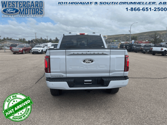 2025 Ford F-150 Platinum - Image 13