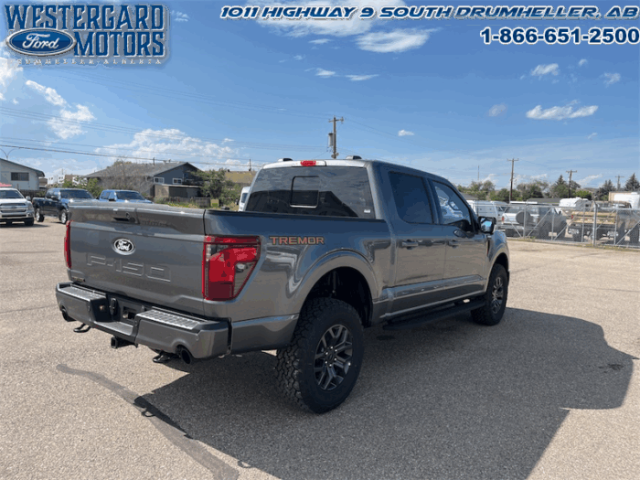 2025 Ford F-150 Tremor  5.0L V8 - Image 13