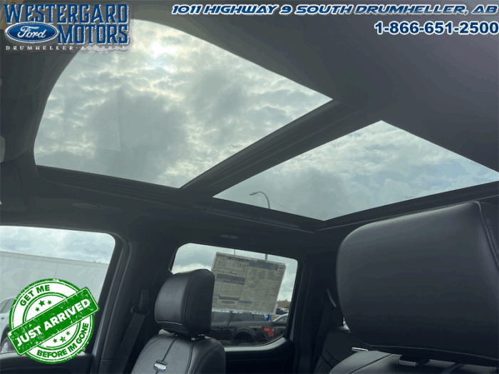 2025 Ford F-150 Platinum - Image 14