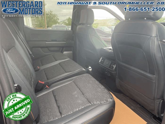 2025 Ford F-150 Tremor  5.0L V8 - Image 15