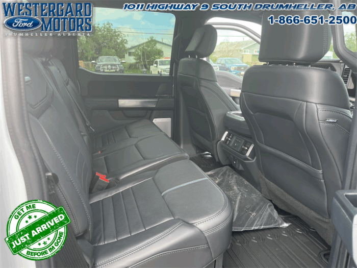 2025 Ford F-150 Platinum - Image 15