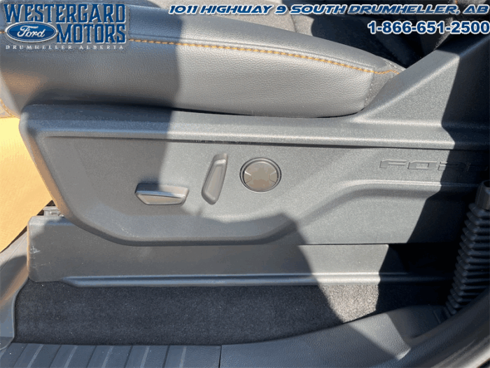 2025 Ford F-150 Tremor  5.0L V8 - Image 15