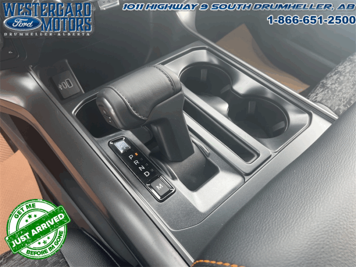 2025 Ford F-150 Tremor  5.0L V8 - Image 18