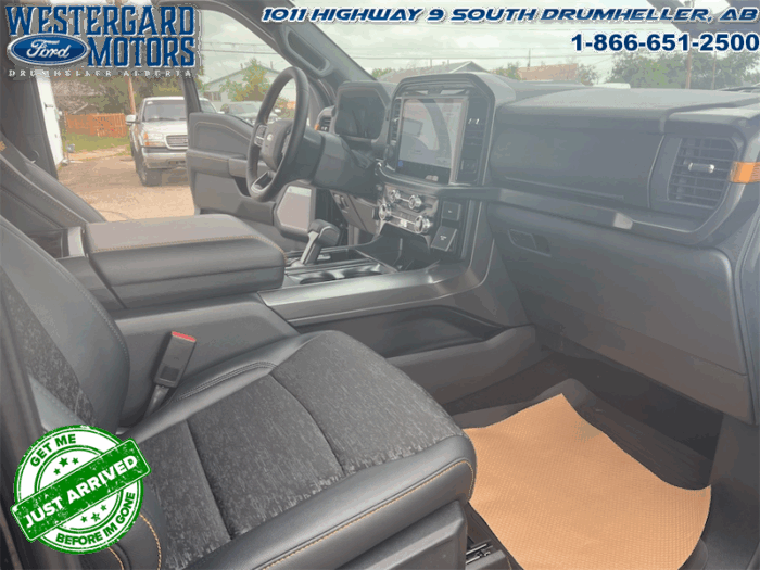 2025 Ford F-150 Tremor  5.0L V8 - Image 19