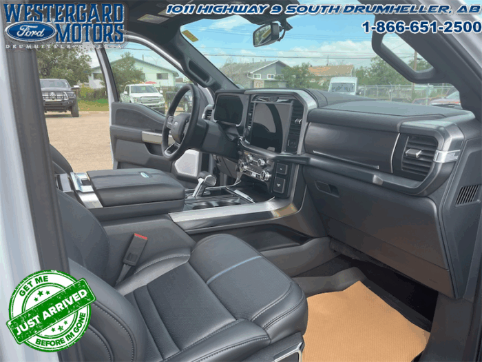 2025 Ford F-150 Platinum - Image 19