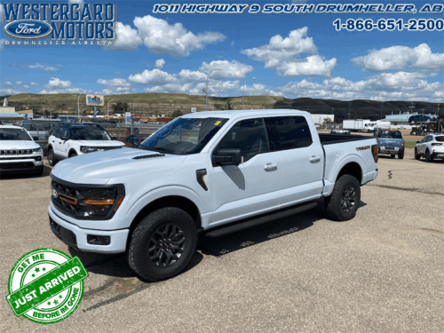 Used Crew Cab 2025 Ford F-150 W4L Space White Metallic