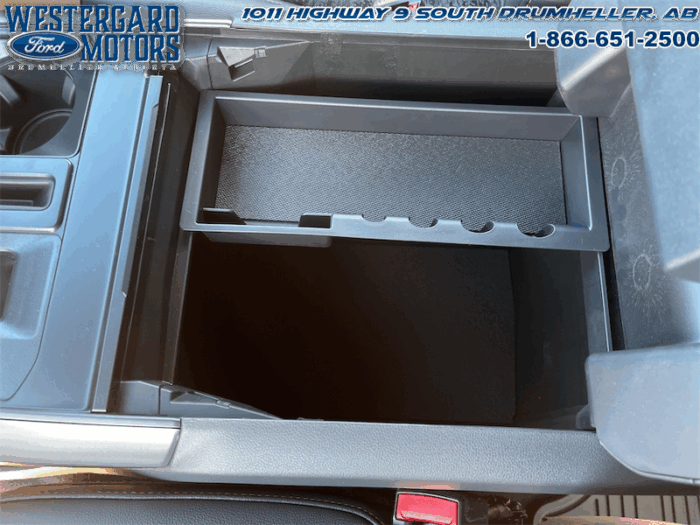 2025 Ford F-150 Tremor  5.0L V8 - Image 19