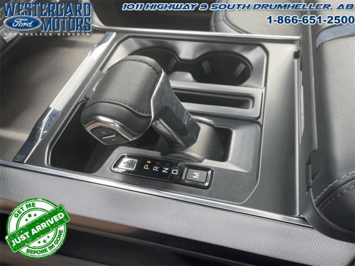 2025 Ford F-150 Platinum - Image 20