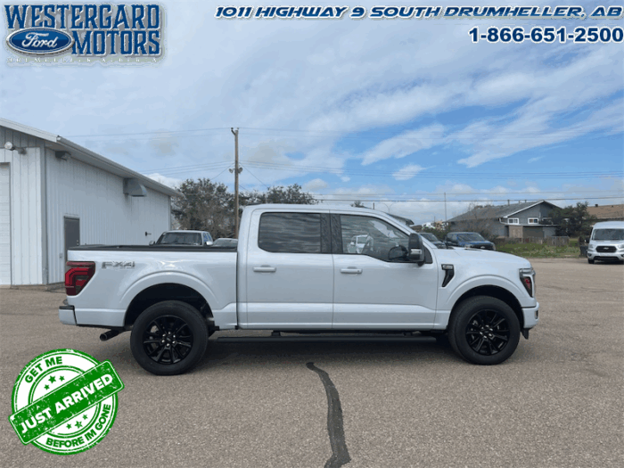 2025 Ford F-150 Platinum - Image 21