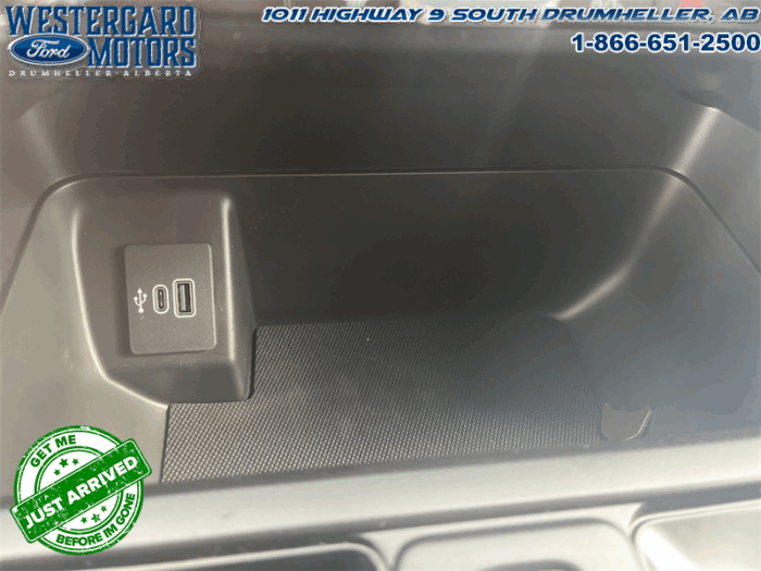 2025 Ford F-150 Tremor  5.0L V8 - Image 25