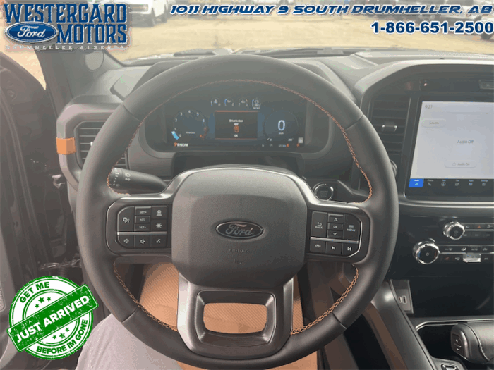 2025 Ford F-150 Tremor  5.0L V8 - Image 26