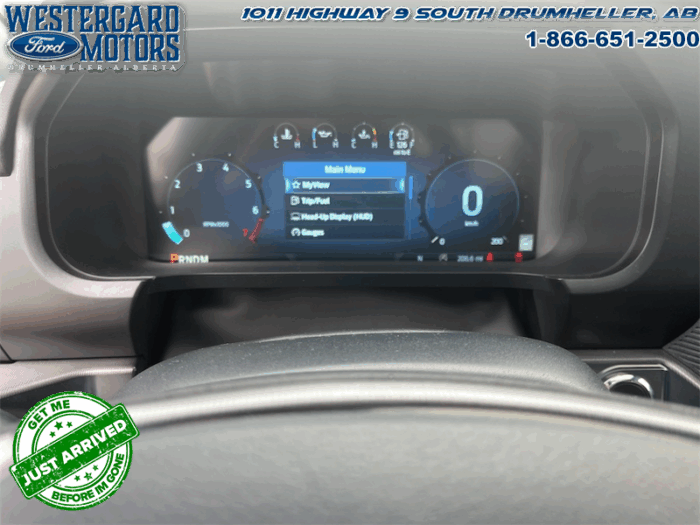 2025 Ford F-150 Platinum - Image 28