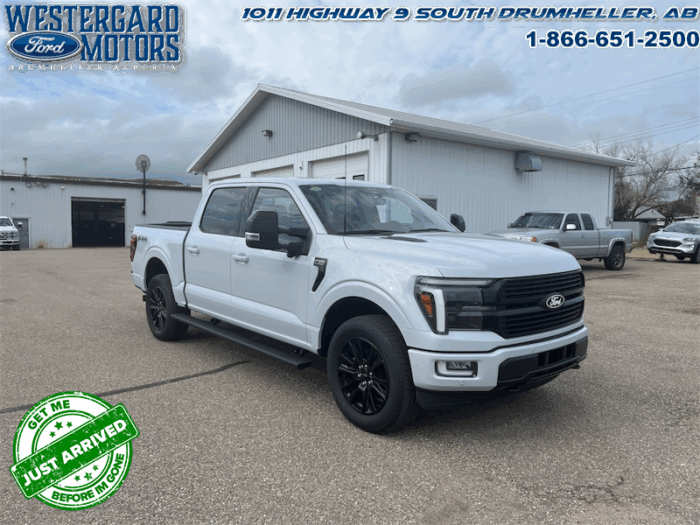 2025 Ford F-150 Platinum - Image 29