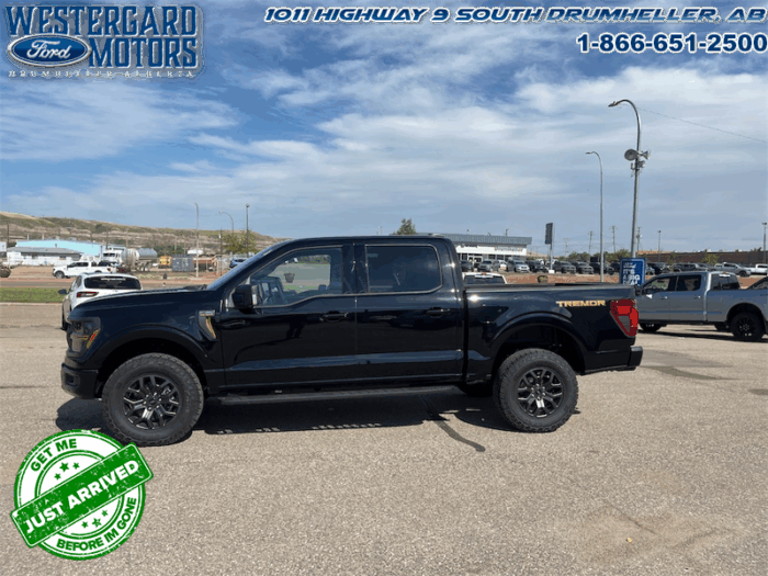 2025 Ford F-150 Tremor  5.0L V8 - Image 5