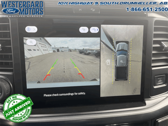 2025 Ford F-150 Platinum - Image 2