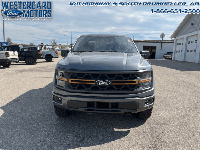 2025 Ford F-150 Tremor  5.0L V8 - Image 29