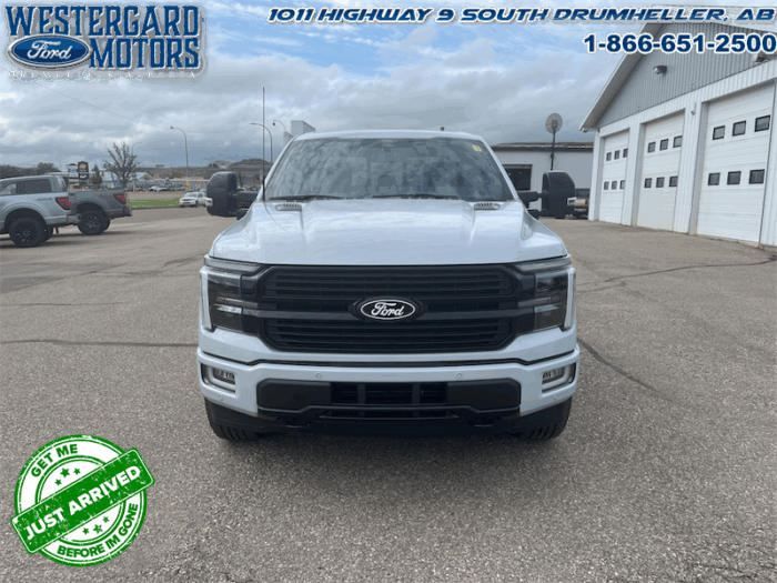 2025 Ford F-150 Platinum - Image 30