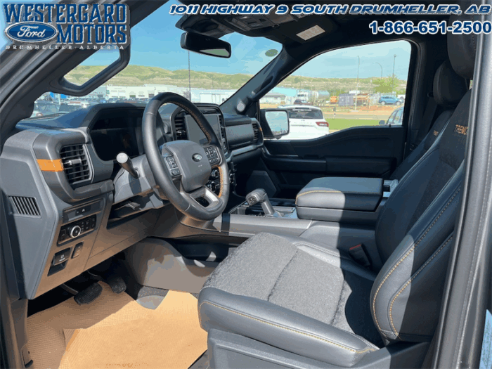 2025 Ford F-150 Tremor  5.0L V8 - Image 2