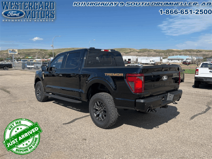 2025 Ford F-150 Tremor  5.0L V8 - Image 9