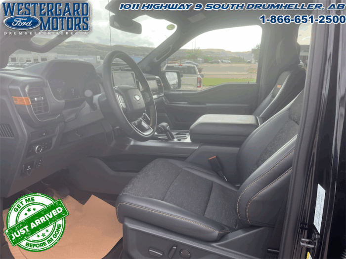 2025 Ford F-150 Tremor  5.0L V8 - Image 3
