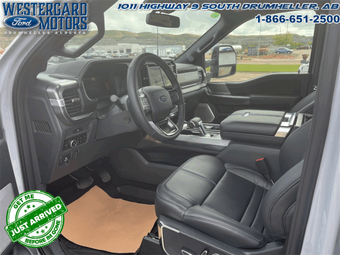 2025 Ford F-150 Platinum - Image 3