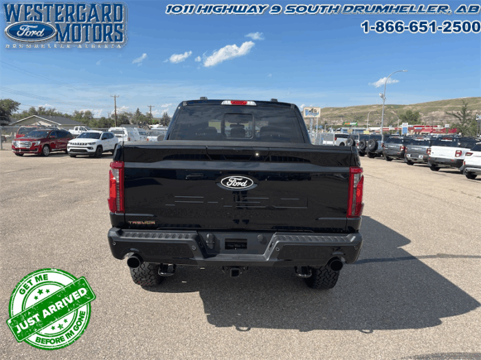 2025 Ford F-150 Tremor  5.0L V8 - Image 13