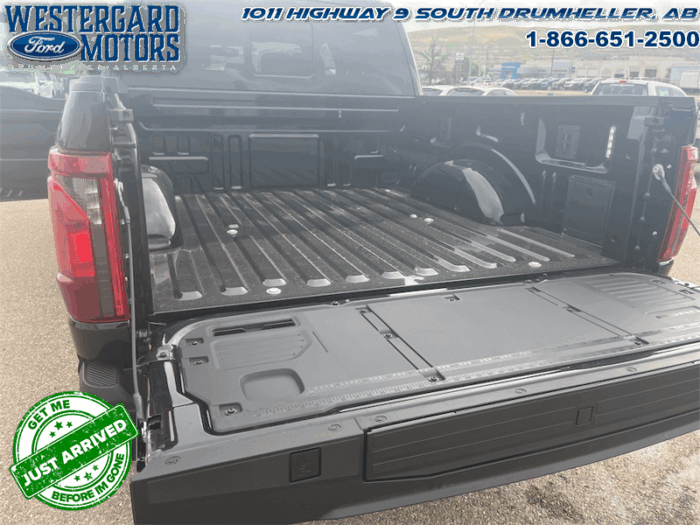 2025 Ford F-150 Tremor  5.0L V8 - Image 4