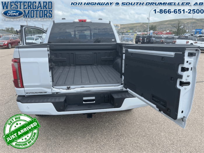 2025 Ford F-150 Platinum - Image 4
