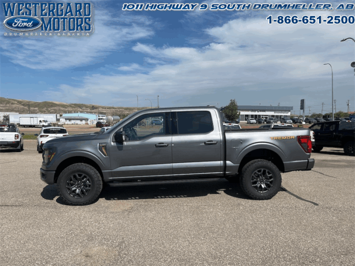 2025 Ford F-150 Tremor  5.0L V8 - Image 4