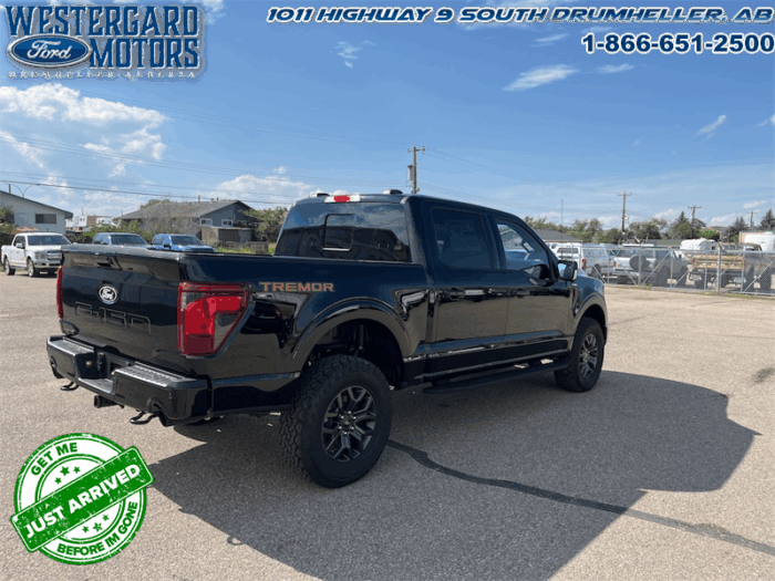2025 Ford F-150 Tremor  5.0L V8 - Image 17