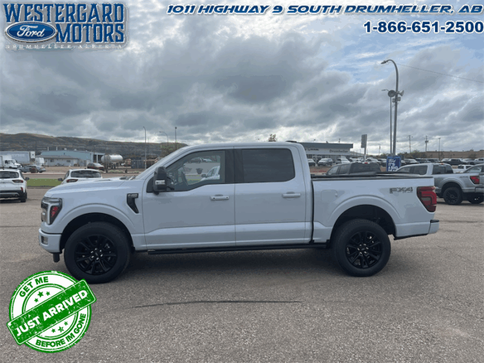 2025 Ford F-150 Platinum - Image 5