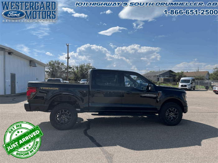 2025 Ford F-150 Tremor  5.0L V8 - Image 21
