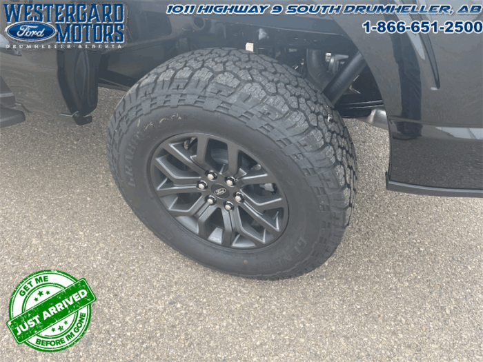 2025 Ford F-150 Tremor  5.0L V8 - Image 6