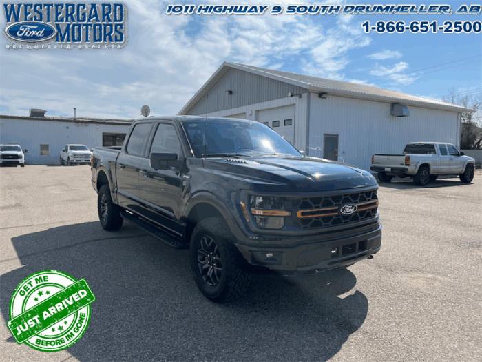 2025 Ford F-150 Tremor  5.0L V8 - Image 28